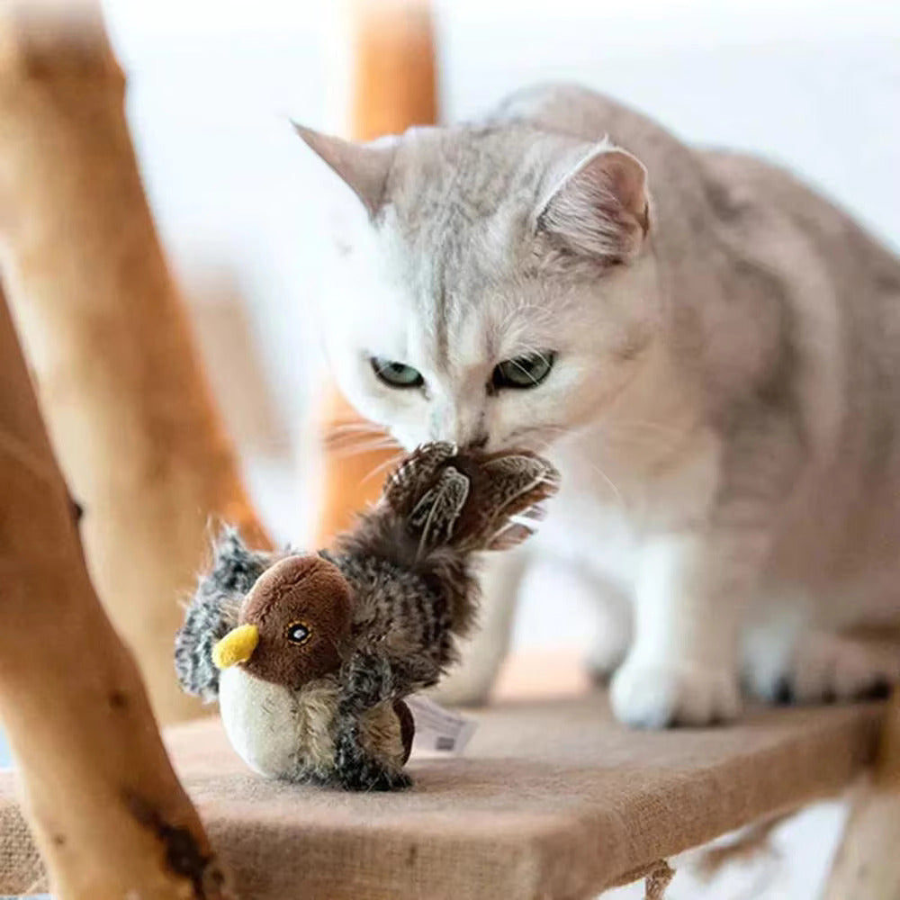Flying Bird Cat Toy