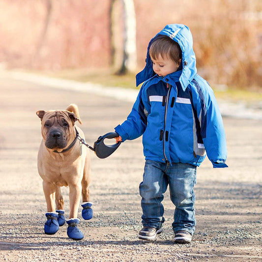 Pet Shoes
