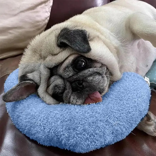 Small Pillow for Pet Cats Dogs