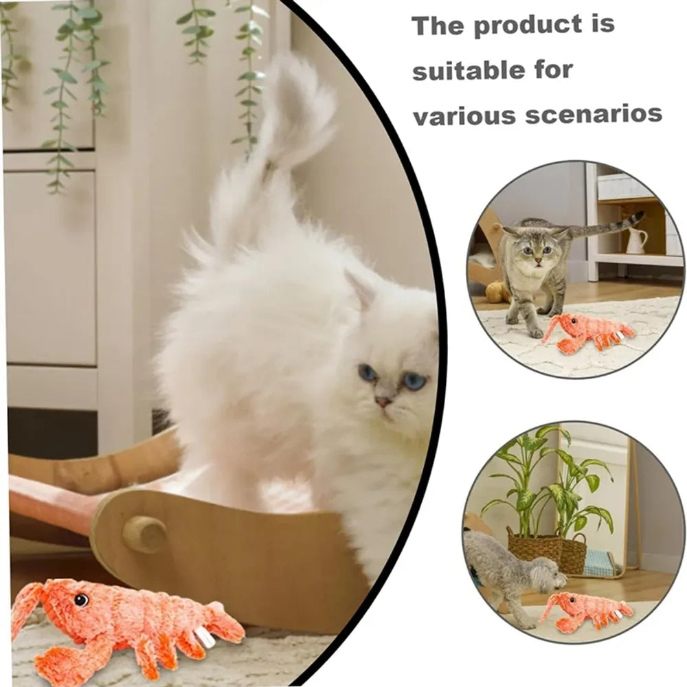 Floppy Lobster Dog, Cat Toys