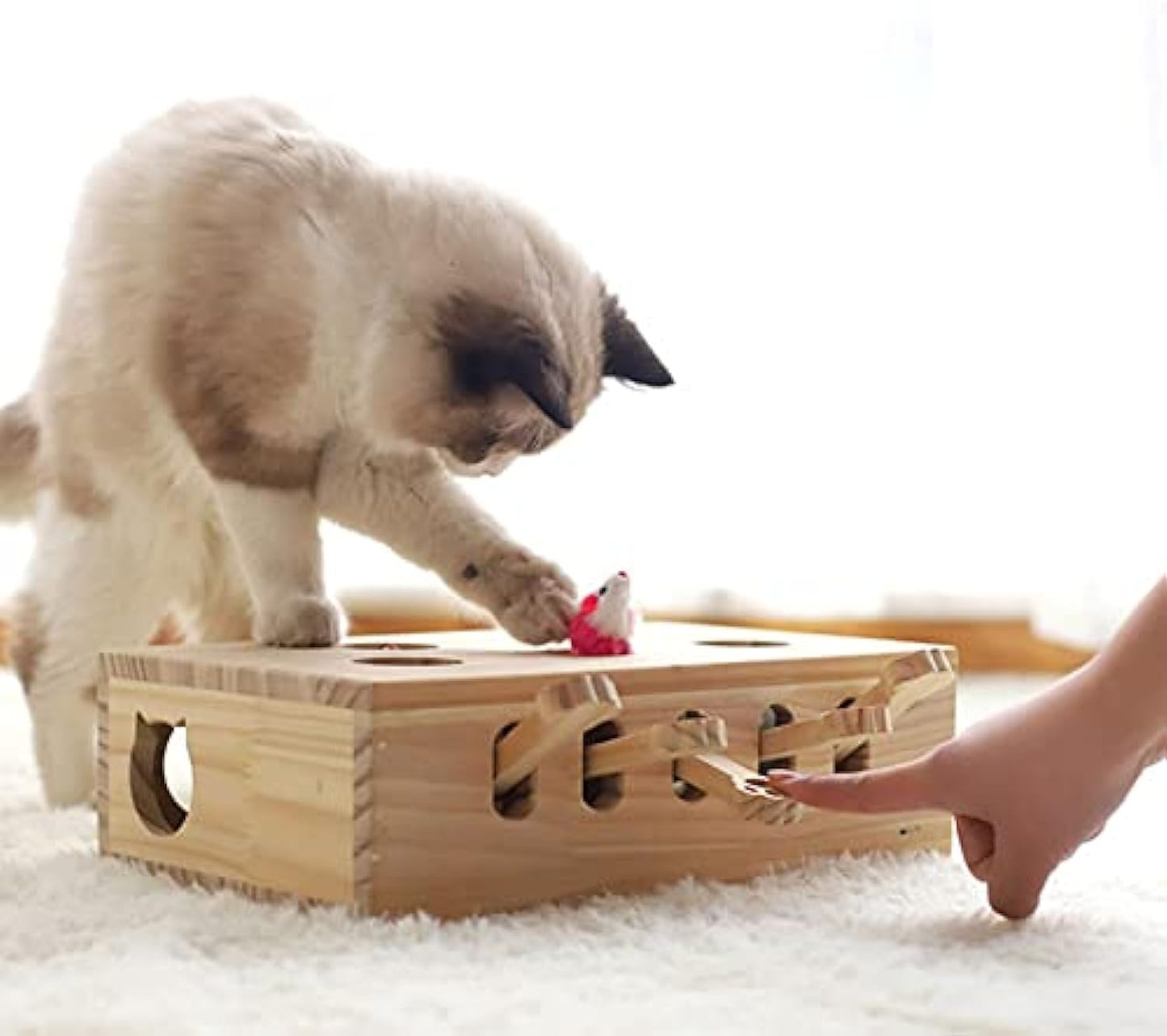 Cat Interactive Wooden Toys Whack