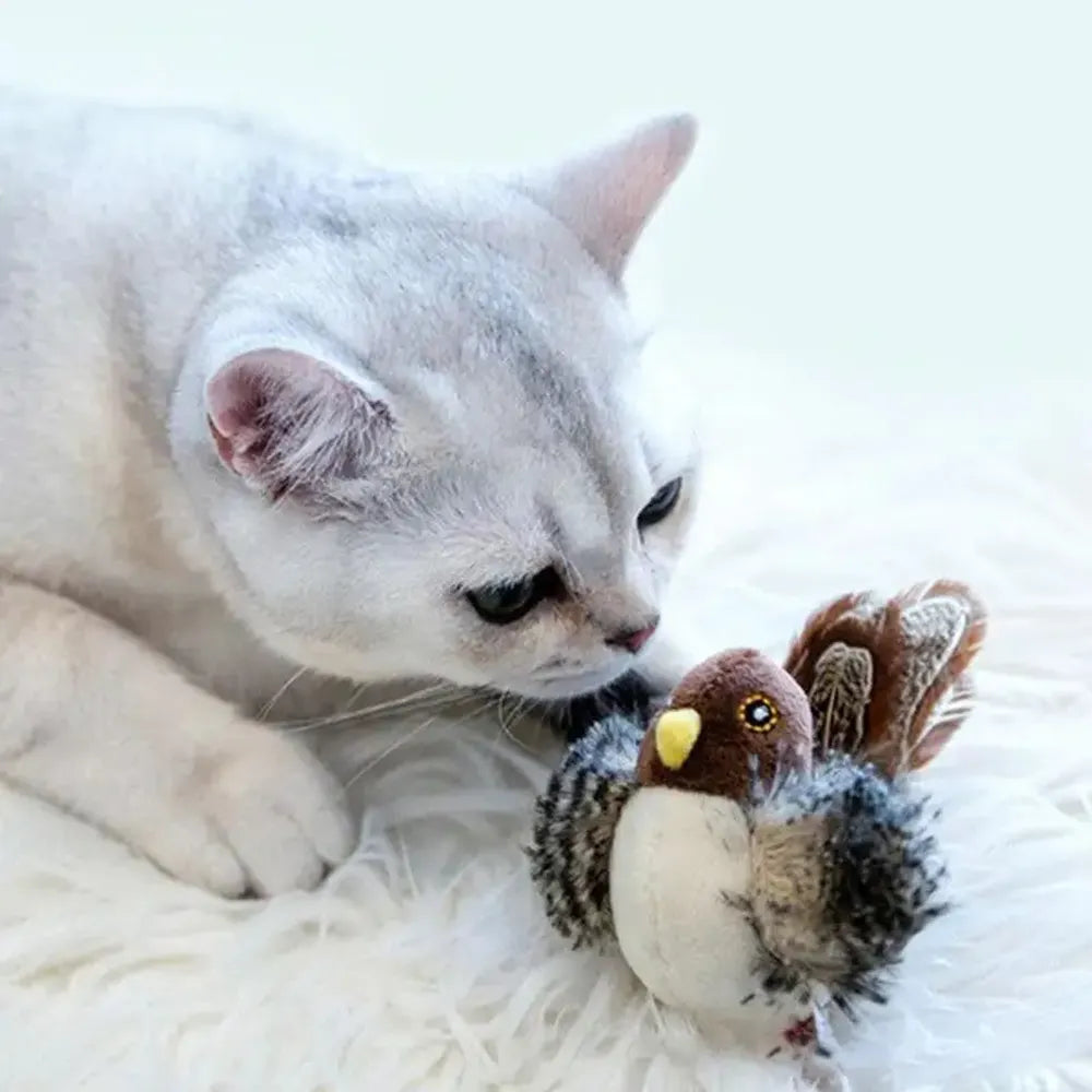 Flying Bird Cat Toy