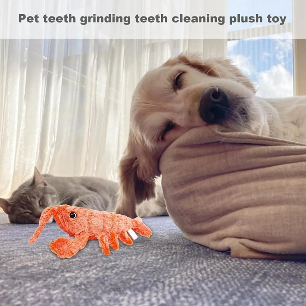 Floppy Lobster Dog, Cat Toys