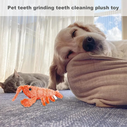 Floppy Lobster Dog, Cat Toys